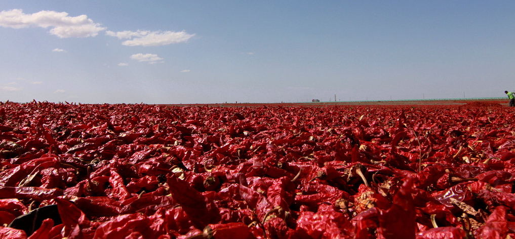 1564728434191319.jpg 20140620162021292129.jpg